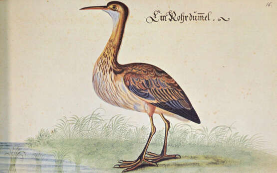 Baldner, L. - photo 3