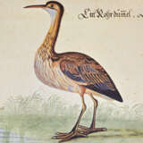 Baldner, L. - photo 3