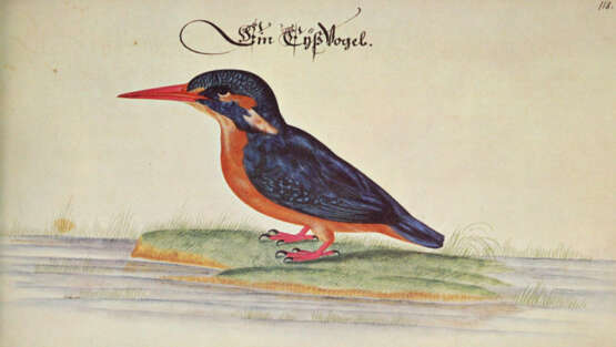 Baldner, L. - photo 4