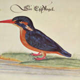 Baldner, L. - photo 4