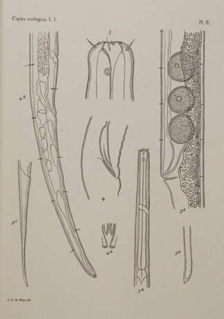 Beaufort, L.F.de. u.a. - photo 2 Beaufort, L.F.de. u.a. - photo 2