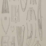 Beaufort, L.F.de. u.a. - photo 3