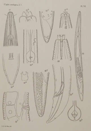 Beaufort, L.F.de. u.a. - photo 3 Beaufort, L.F.de. u.a. - photo 3