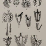 Beaufort, L.F.de. u.a. - photo 4