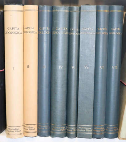 Beaufort, L.F.de. u.a. - photo 5 Beaufort, L.F.de. u.a. - photo 5