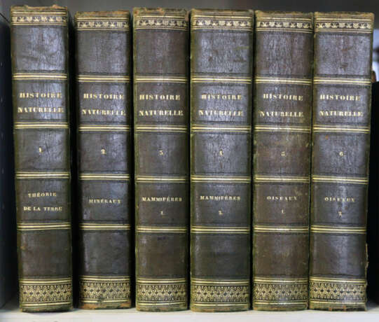 Buffon, G.L.L. - photo 6 Buffon, G.L.L. - photo 6