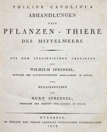 Cavolini, F. - фото 1