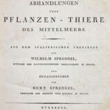 Cavolini, F. - фото 1