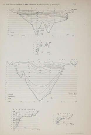 Danielssen, D.C. u.a. - photo 3 Danielssen, D.C. u.a. - photo 3