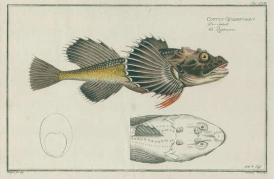 Bloch, M.E. - photo 4