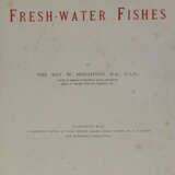 Houghton, W. - photo 3