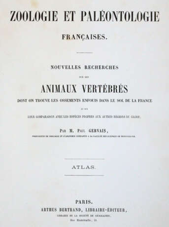 Gervais, (F.L.)P. - photo 1 Gervais, (F.L.)P. - photo 1