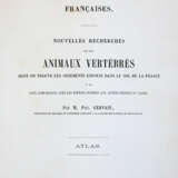 Gervais, (F.L.)P. - photo 1