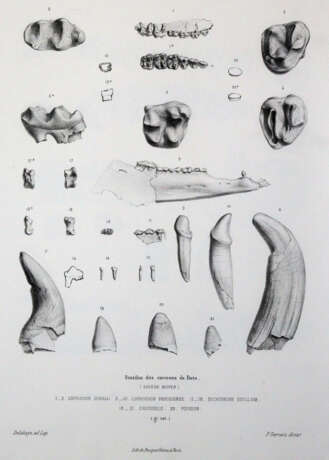 Gervais, (F.L.)P. - photo 3 Gervais, (F.L.)P. - photo 3