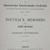 Hensen, V. - photo 4