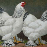 Kramer, R. - photo 1