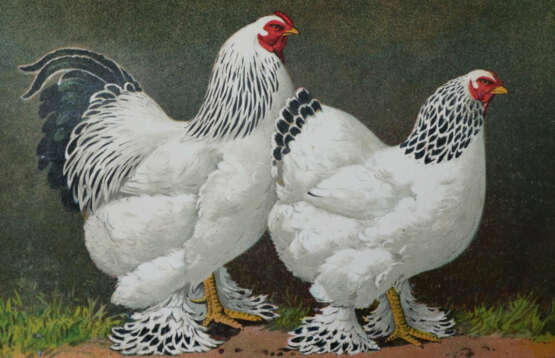 Kramer, R. - photo 1 Kramer, R. - photo 1