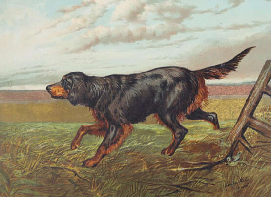 Shaw, Vero. - фото 2