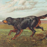 Shaw, Vero. - фото 2