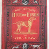 Shaw, Vero. - фото 3