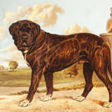 Shaw, Vero. - фото 4