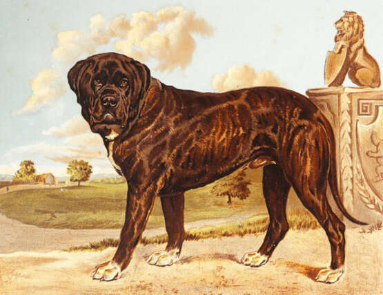 Shaw, Vero. - фото 4