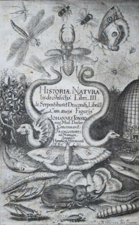 Jonston, J. - фото 1