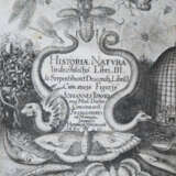 Jonston, J. - фото 1