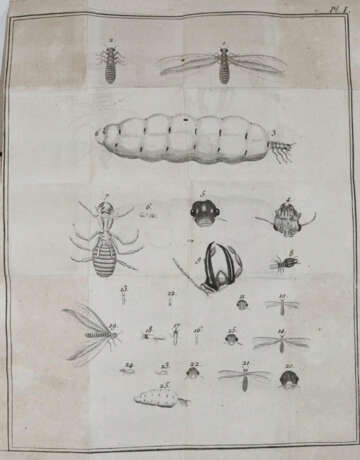 Smeathman, H. - фото 2