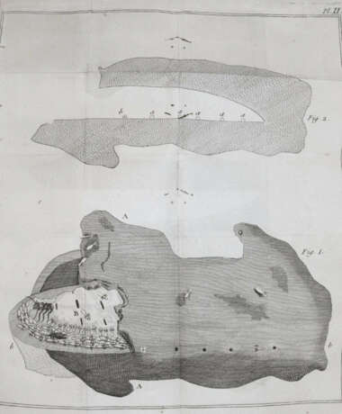 Smeathman, H. - фото 3