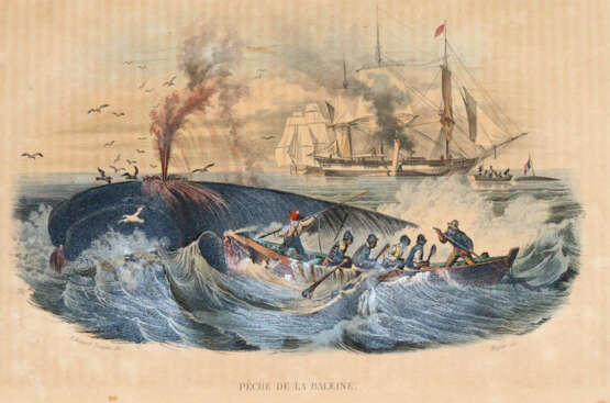 Lacépède, B.G.E.de. - photo 4