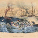 Lacépède, B.G.E.de. - photo 4