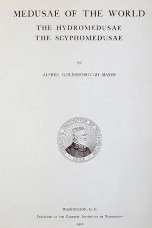 Mayer, A.G. - photo 1