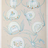 Mayer, A.G. - photo 3