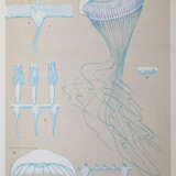 Mayer, A.G. - photo 5