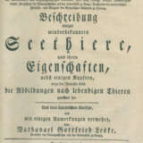 Leske, N.G. - photo 1