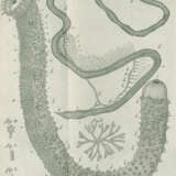 Leske, N.G. - photo 2