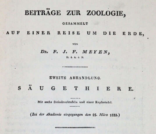 (Meyen, F.J.F. - photo 1