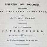 (Meyen, F.J.F. - photo 1