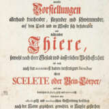 Meyer, J.D. - photo 2