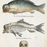 Meyer, J.D. - photo 3