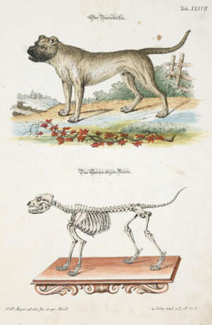 Meyer, J.D. - photo 4