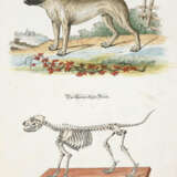 Meyer, J.D. - photo 4