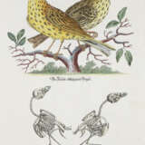 Meyer, J.D. - photo 5