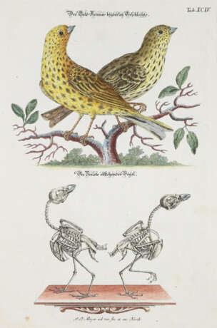 Meyer, J.D. - photo 5