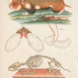 Meyer, J.D. - photo 6