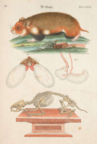 Meyer, J.D. - photo 6