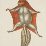 Meyer, J.D. - photo 7