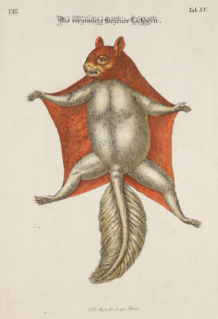 Meyer, J.D. - photo 7