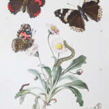 Milliere, P. - photo 1